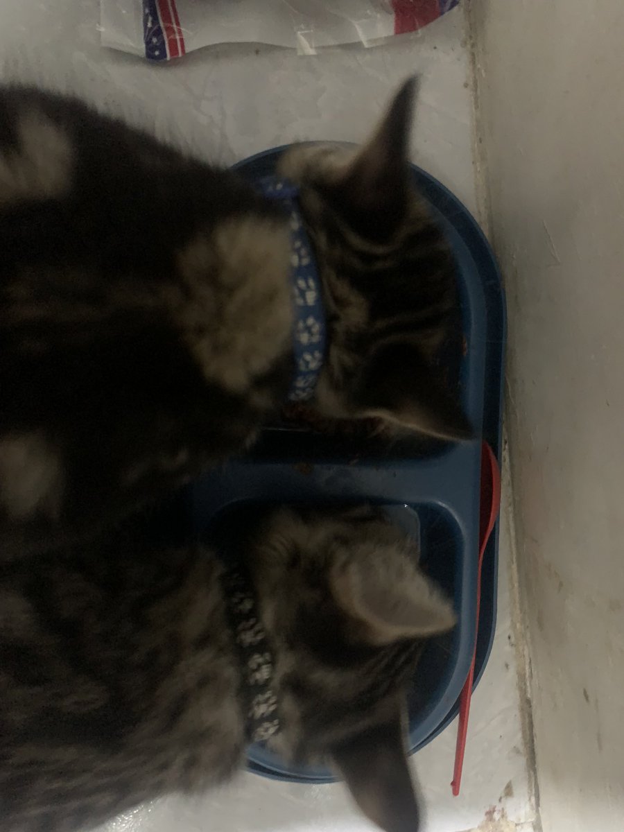 met sahoorrr akak akak