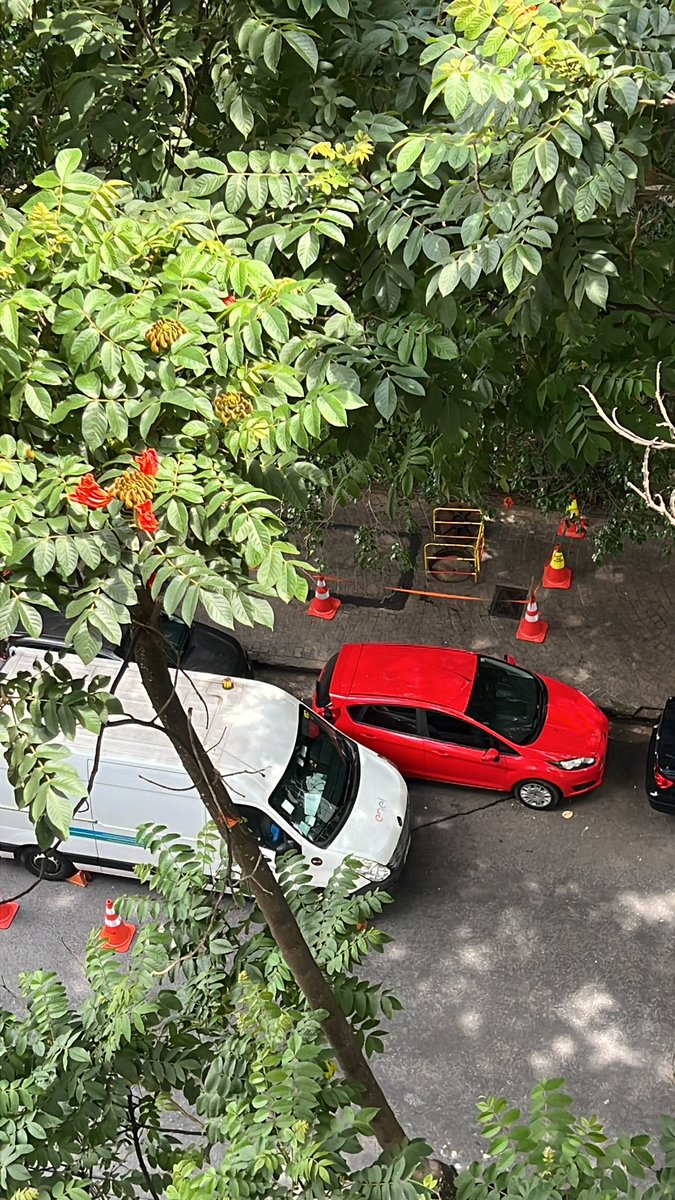 DacioNitrini's tweet photo. BLECAUTE 😲Funcionários da Enel que trabalham no subsolo da rua Itacolomi comentam que ainda não acharam o ponto de ruptura de cabos. Não tem previsão da volta de energia. #enel, #blecaute #higienopolis https://t.co/fcW9gbA60m