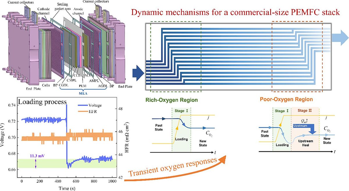 Editor's Choice: Dynamic transport characteristics and performance response of commercial-size polymer electrolyte membrane fuel cell stack: An experimental study (Wen et al., Dongfang Electric (Chengdu) Hydrogen Fuel Cell Technology Co., Ltd.)

sciencedirect.com/science/articl…