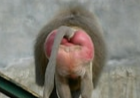 4th July - Tory wipe Out tweet media