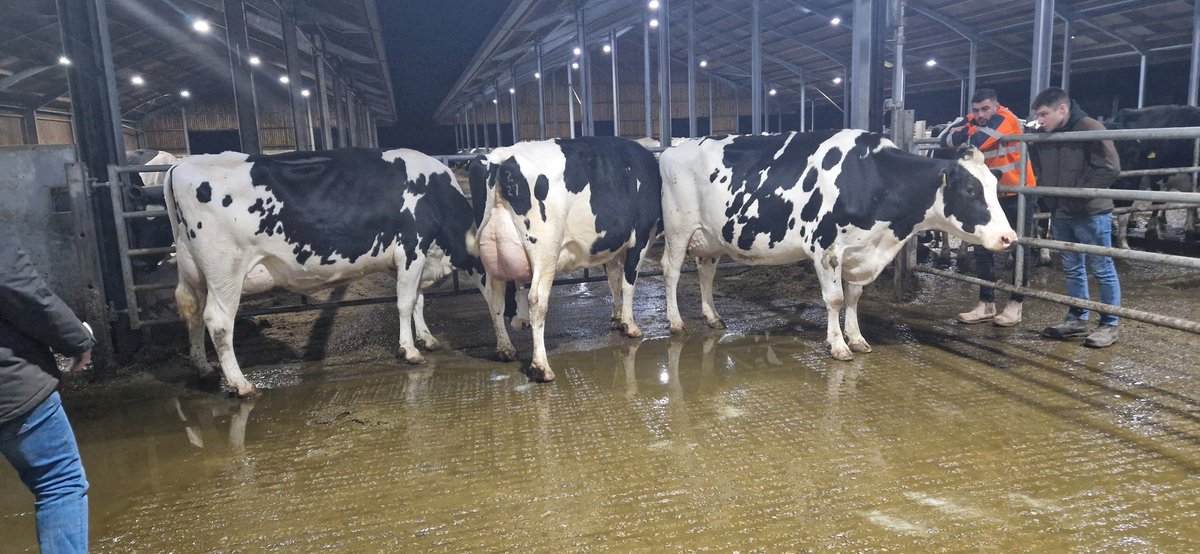 BoltonManor Farm tweet media