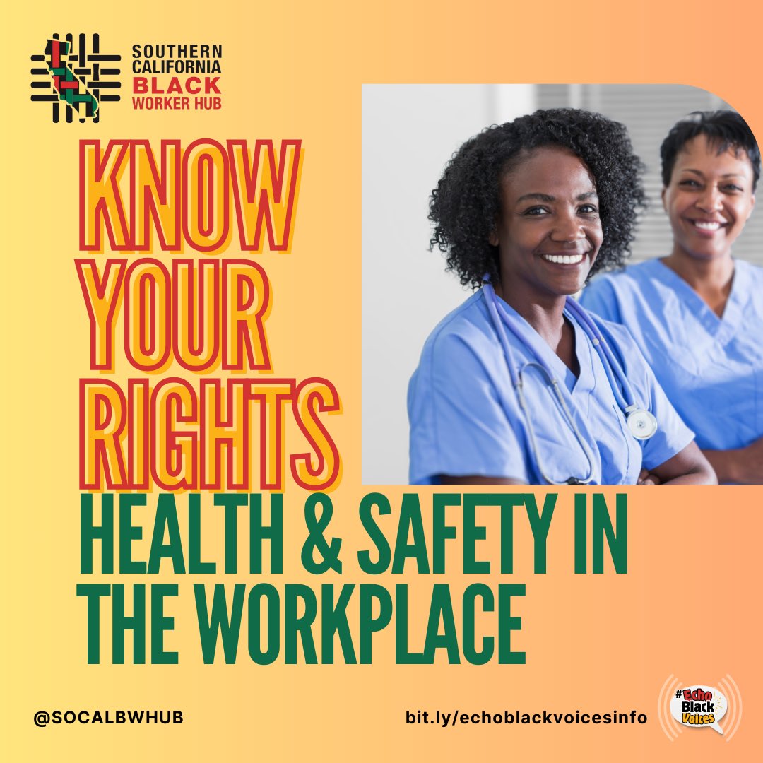 Know your rights, advocate for your well-being, and let's ensure every healthcare professional feels secure in their workplace. 💪 For more information on how to know your worker rights, visit bit.ly/echoblackvoices or click the link in our bio! #HealthAndSafety #WorkplaceRights