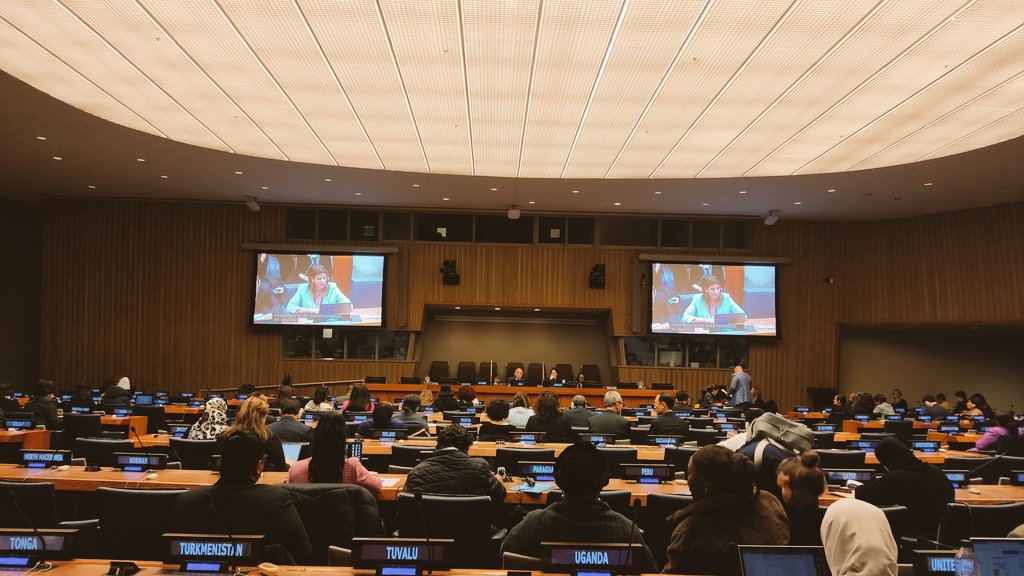 CommissionerGE's tweet photo. #CSW68 #NationalStatement
 🇨🇾🇺🇳 
➡️ During the General Discussion @UN_CSW, Commissioner for Gender Equality @JosieChristodou reiterated the commitment of #Cyprus 🇨🇾 in advancing the human rights of all #women and #girls,  as well as the determination to realize substantive #equality between #women and #men. 
#GenderEquality