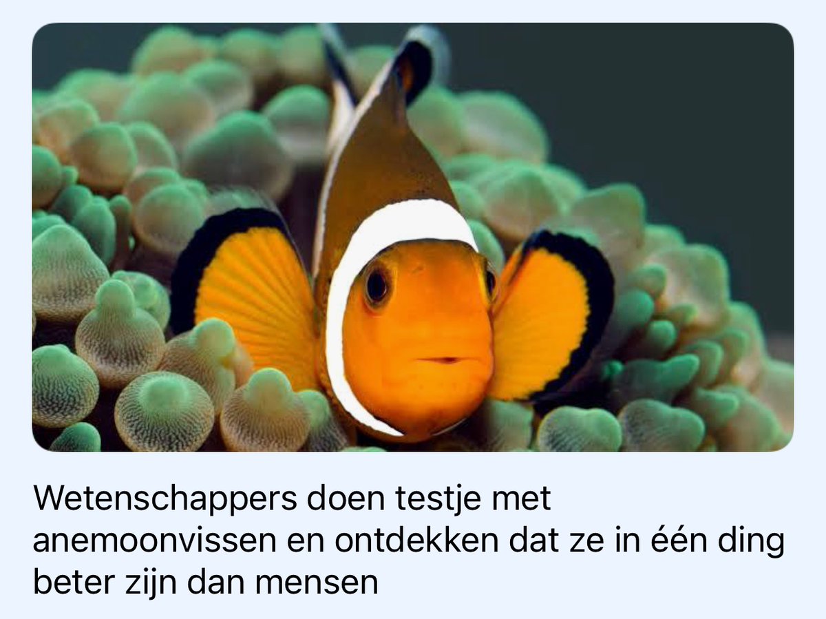 Onder water blijven?