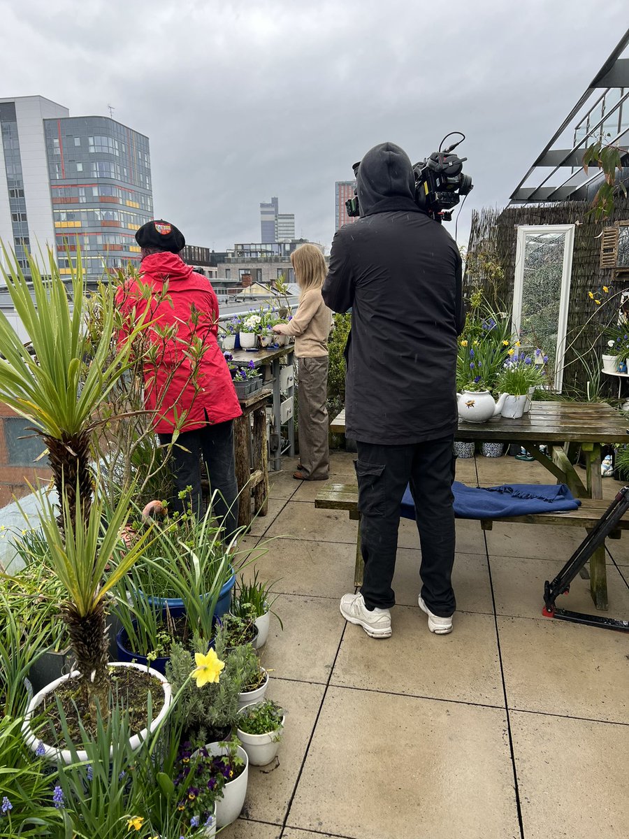We were on the @BBCTheOneShow tonight about gardening in small spaces #TheOneShow 🌴🌱🌿🌷🌸🌼