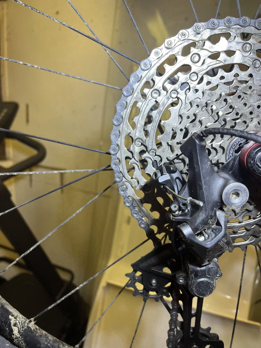 Stuart Cann tweet media