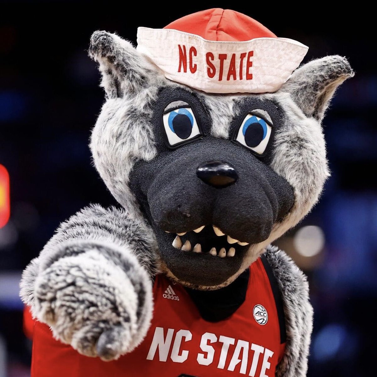 ncsucheer's tweet photo. NCAA TOURNAMENT! ๐โจ #PackMadness
๐ @PackWomensBball
๐ @PackMensBball
#GoPack | @NCAA https://t.co/F0dT09TnTC