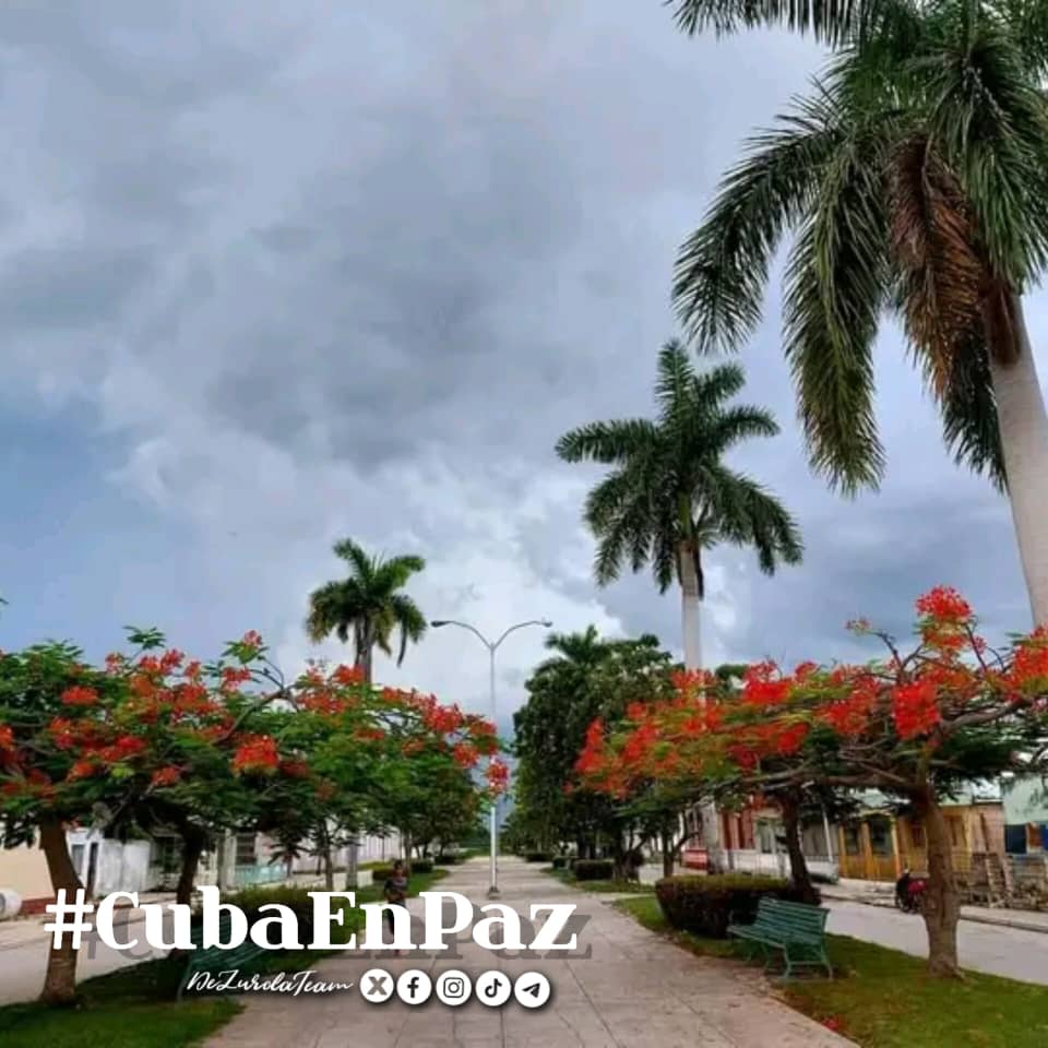 DisleyAcosta1's tweet photo. #CubaEnPaz #CubaPorLaVida #LatirAvileño ❤️❤️❤️❤️❤️❤️ https://t.co/UkByTdqvwj