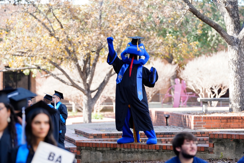 Hey, rattlers, it’s time to order your Regalia! Check your St. Mary's University email for information about ordering your regalia before Wednesday, March 20.