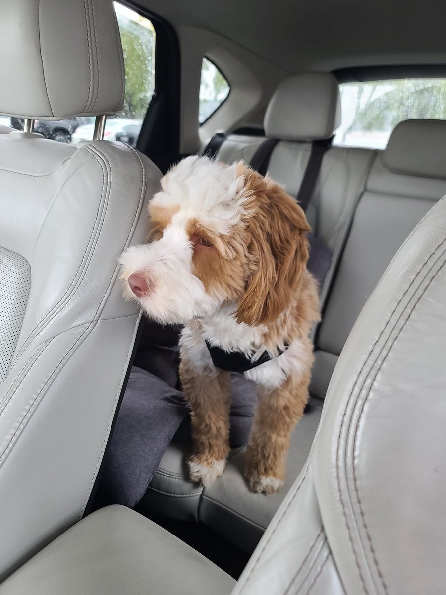 Stuff4DR's tweet image. Happy Monday!!