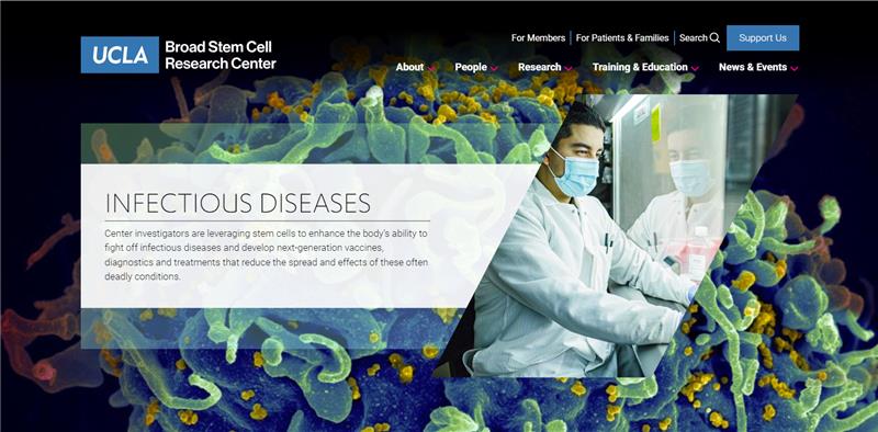 Our new website features 14 research area pages that detail how our researchers are utilizing #StemCells to better understand our fundamental biology and transform disease treatment. Explore here: stemcell.ucla.edu/research-areas