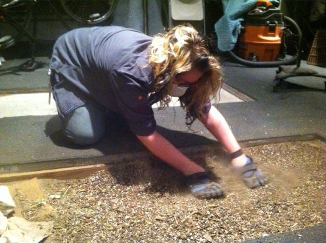 Kristen Quinn tweet media