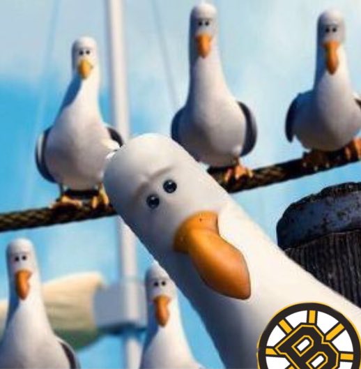 bruins management when a goalie simply exists: