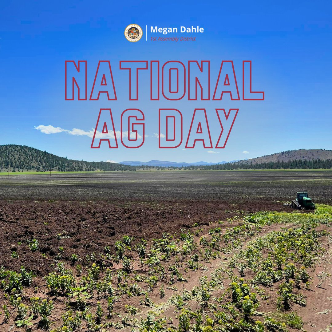 As a family rooted in farming, we understand firsthand the challenges & rewards of this vital profession. Here's a glimpse of our family farm, captured last summer. Let's take a moment to appreciate those who make it possible by feeding our families & nourishing our communities.