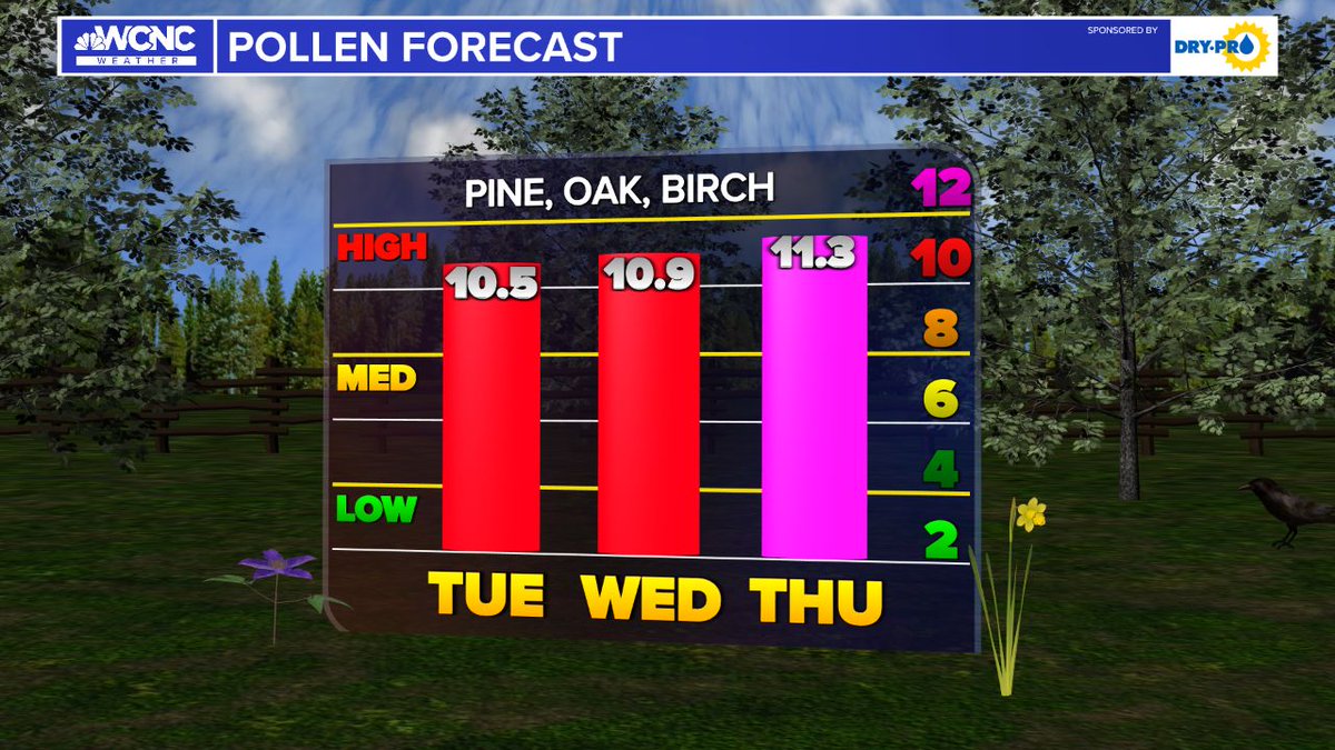 Pine is now at the top, which is messy but not the biggest allergen. #cltwx #ncwx #scwx #wcnc #pollen