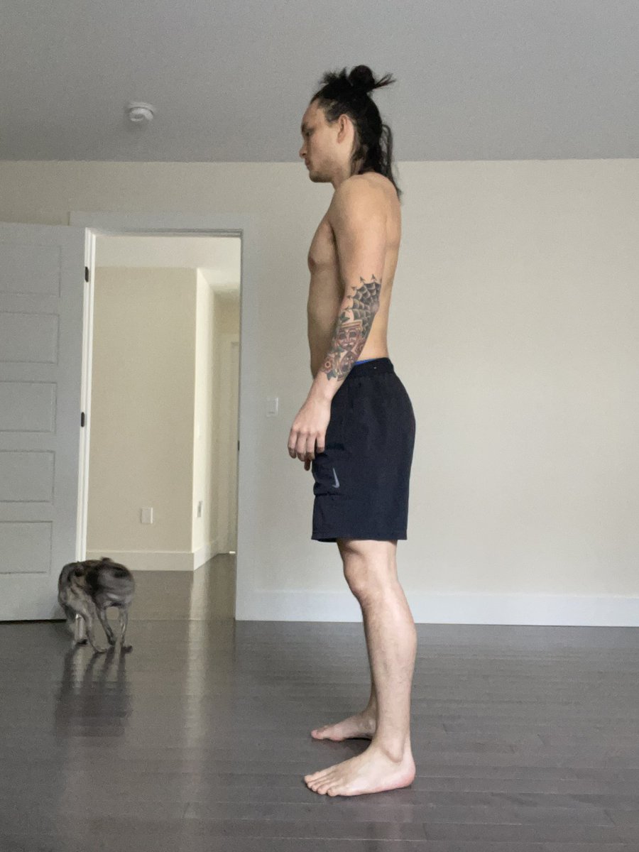 staycation tweet media