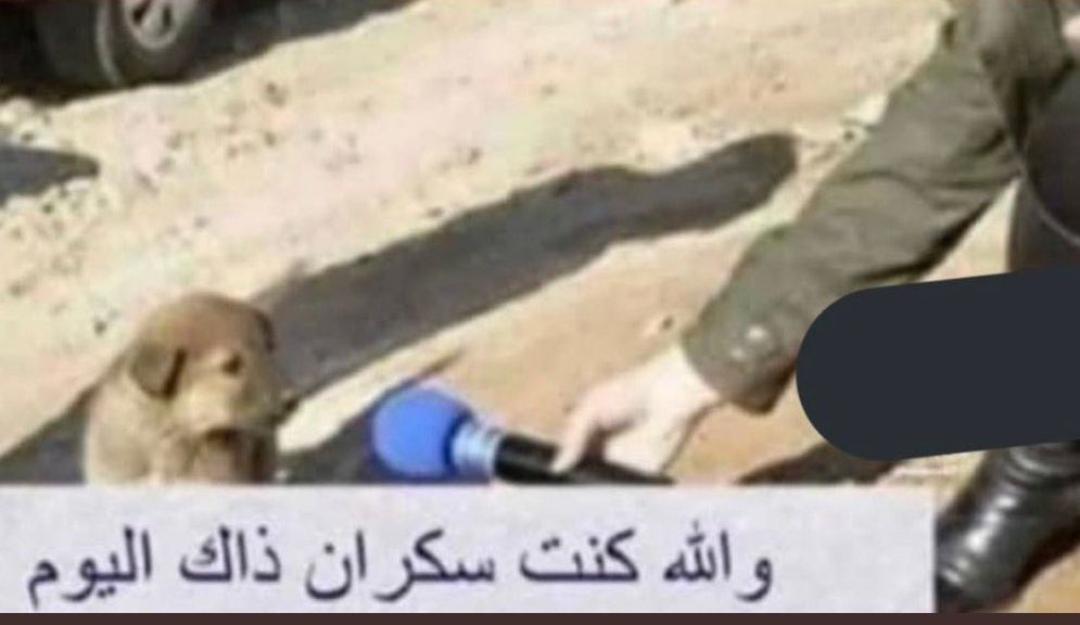 jree77's tweet photo. @id7p_ وش حدك على الكلام اللي قلته؟
ماكرون 👇 https://t.co/KrZ3mFWaAp