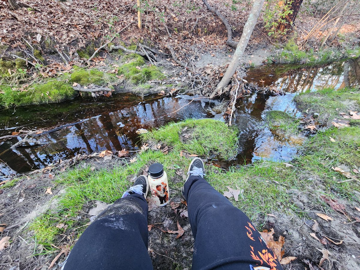 hi it's been a while :)) also I slipped in the mud in front of 2 turtles today, it was very humbling