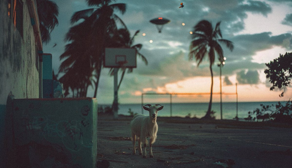 Rise like the dawn, relentless and bright. Congrats on the 76ers' ten-day tale. Carve your legacy. #GOATLife