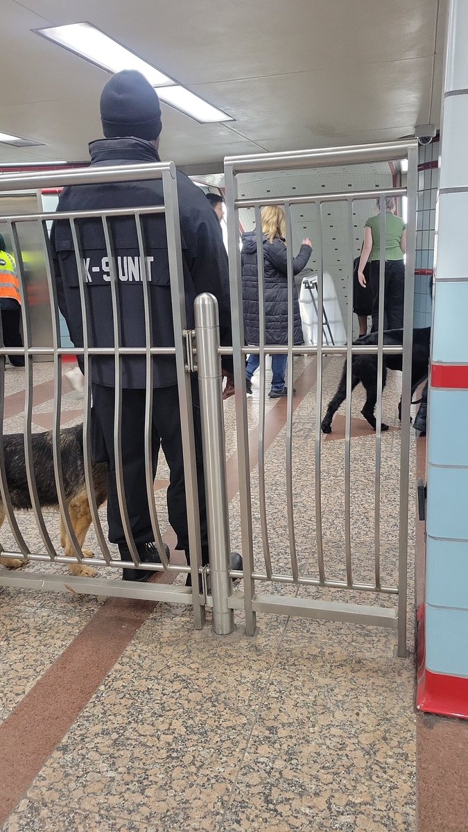 kale_aff's tweet photo. Stg just seen one of these pos k9unit ppl punch their dog, like tf is wrong w you https://t.co/1OCC1UhnVx