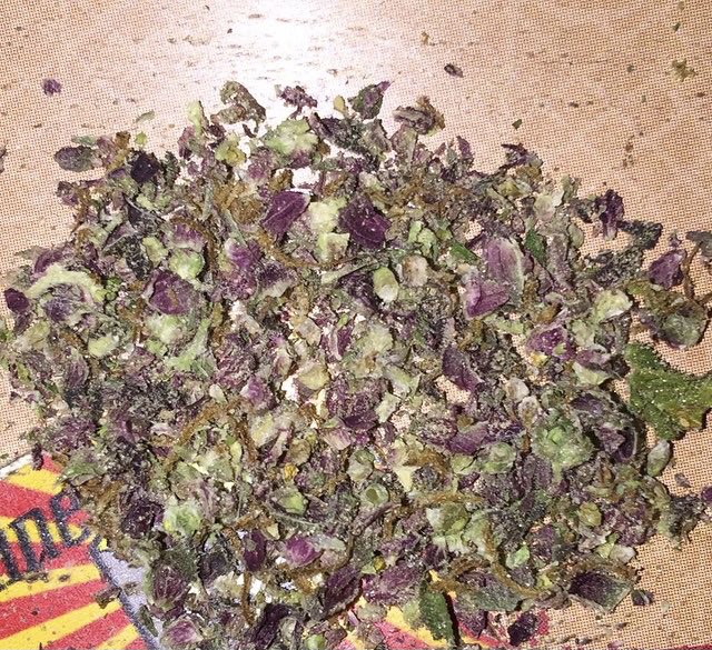 Smoking some fire Purple Kush 😮🔥🍇 #cannabis #TopShelfLife #thc #cbd #hightimes #highmindedmovement #dank #stankyydankyy #stonerdays #wfayo #ostf #ofwk #ph4wg #pot #potheadsociety #hash #joint #keepitchronic #bong #ganja #mmj