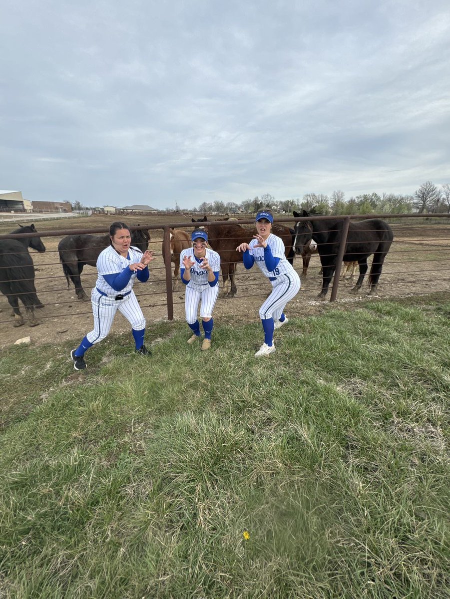 ‼️WEEKEND RECAP‼️

We played in front of some fellow stallions today and finished the weekend 6-0!

#GoBears🥎
<a href="/BobLigouri/">Bob Ligouri</a>