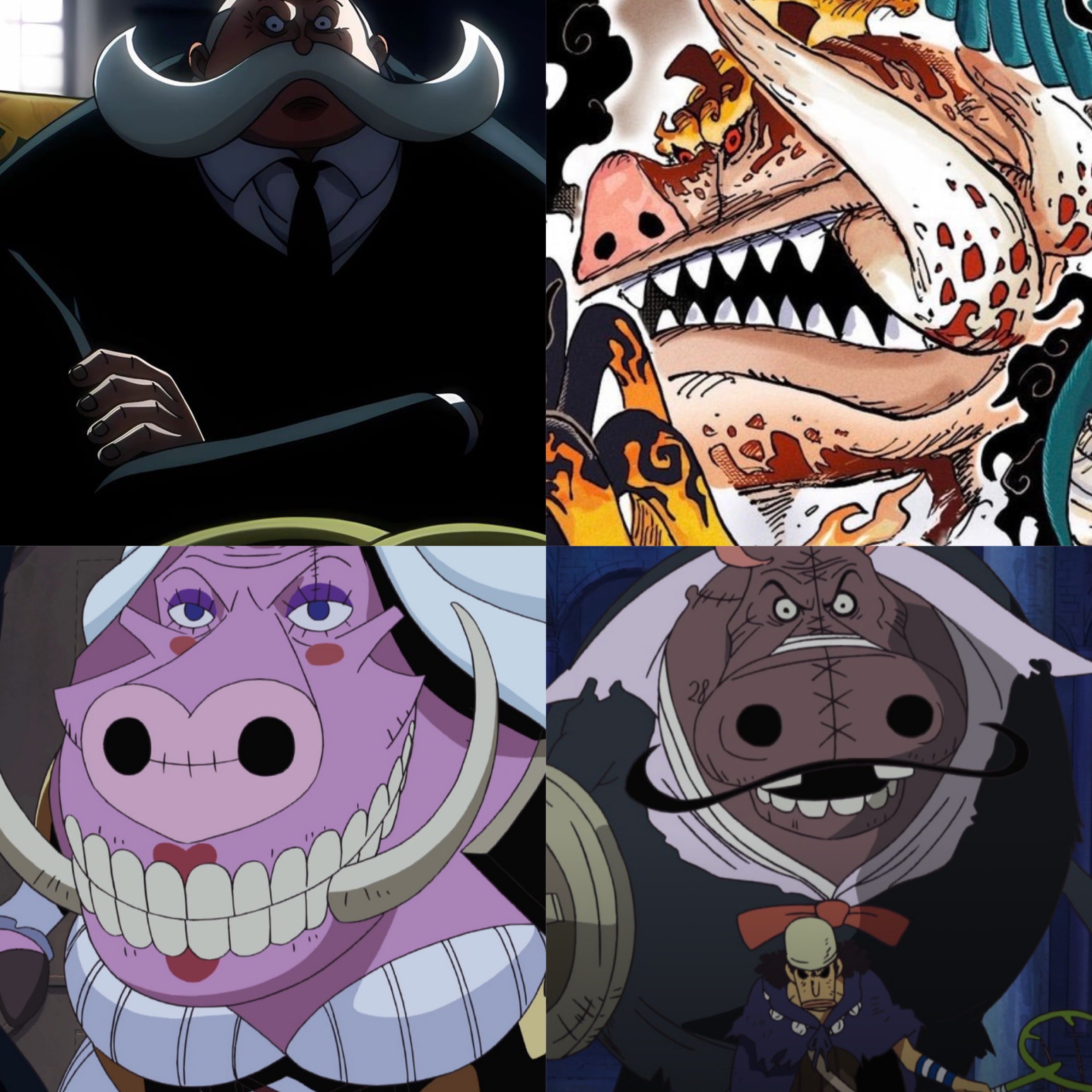 ワンピース the toe Gyro Gather Onepiece Gyro Gather Onepiece