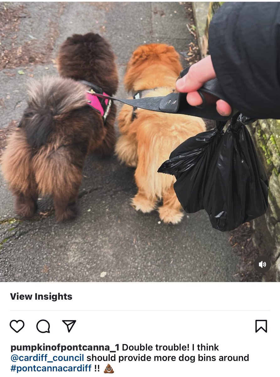 Barrett_1992's tweet photo. @cardiffcouncil  #cardiff #pontcanna #dogs ! 💩🚫 https://t.co/1IfpAcnXRh