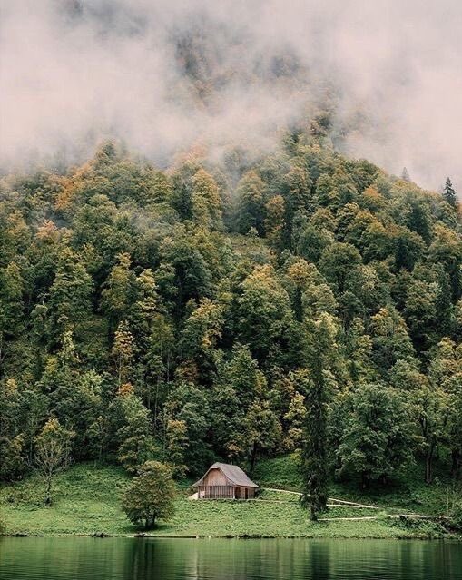 ᅠ ᅠ (@greendreaams) on Twitter photo 