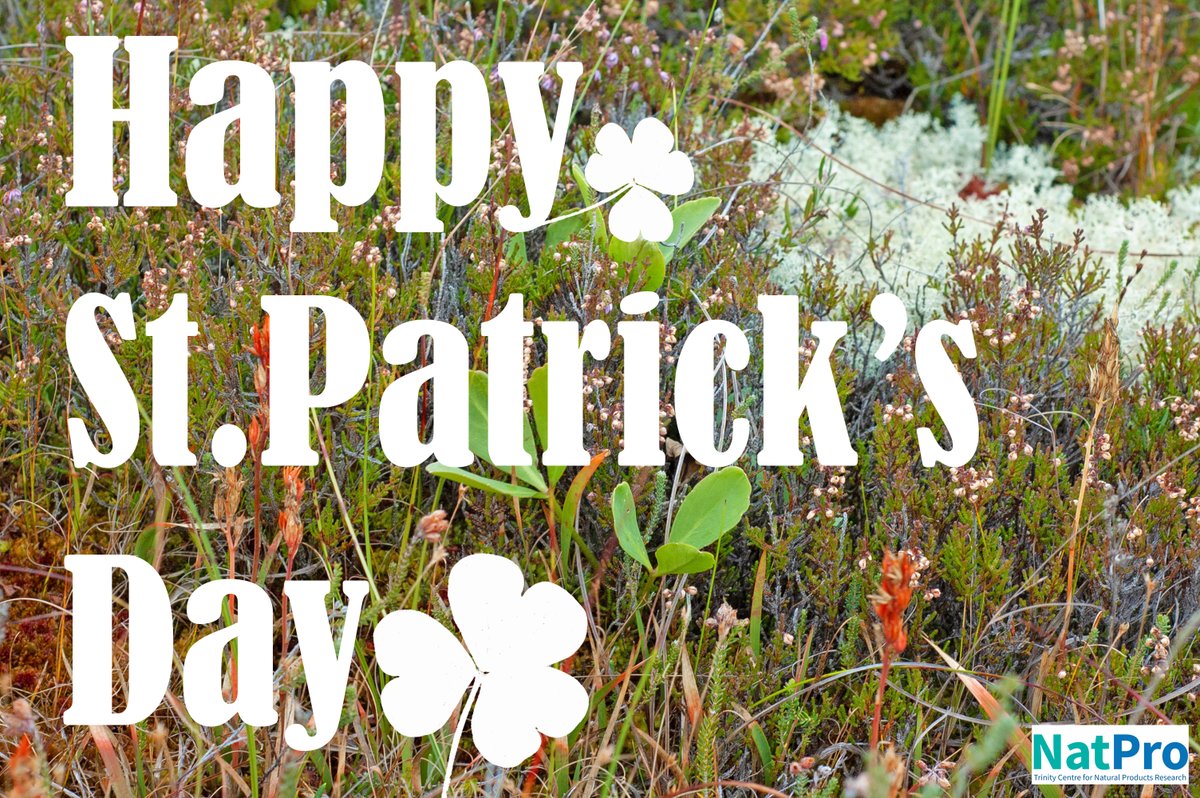 🍀 Happy #StPatricksDay from NatPro🍀
As we join in the global celebration of Irish culture, at NatPro we take a moment to appreciate the beauty of its rich #boglands. Here's to a day of celebration &amp; greenery. Lá fhéile Pádraig sona dhuit!
 #Ireland #IrishBoglands