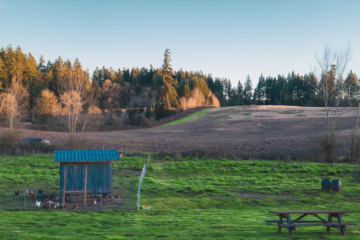 JoinSCL's tweet image. Last night, retreat participants joined us for an evening of fellowship, wine, and cheese at Lady Hill Winery🍷. 
Thank you to everyone who came out and made this night special.