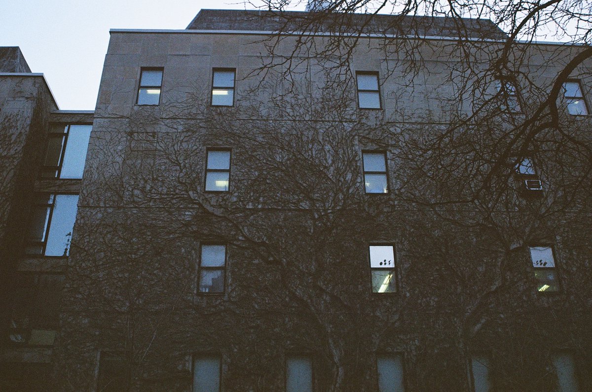 jakkdaveed's tweet image. Montréal