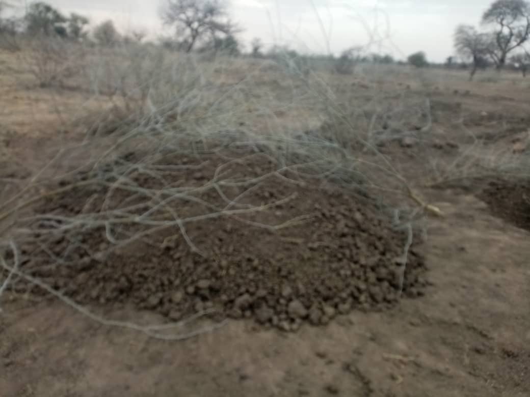 The International community
 #ICC
#UN OHCHR
#UNSCA
#Amnesty International 
#Justice for the NUBA PEOPLE OF SUDAN 

The Sudanese government's use of earth crock strategies for ethnic cleansing in South Kordofan violates fundamental human rights under international law. Article 7