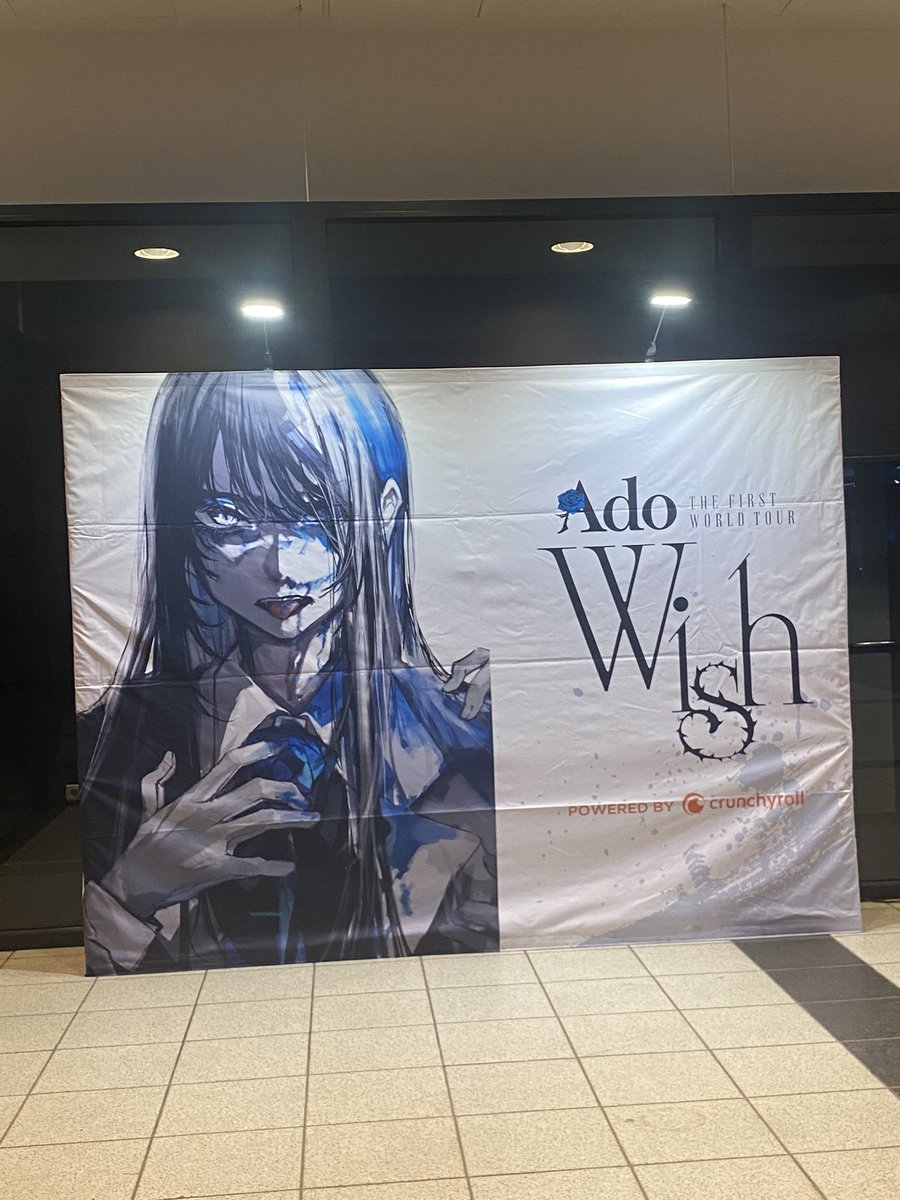 ados_bluerose's tweet photo. it was such a nice concert 🥺🫶🏻 i already miss her💙

#adodüsseldorf https://t.co/G8fecGK5Jg