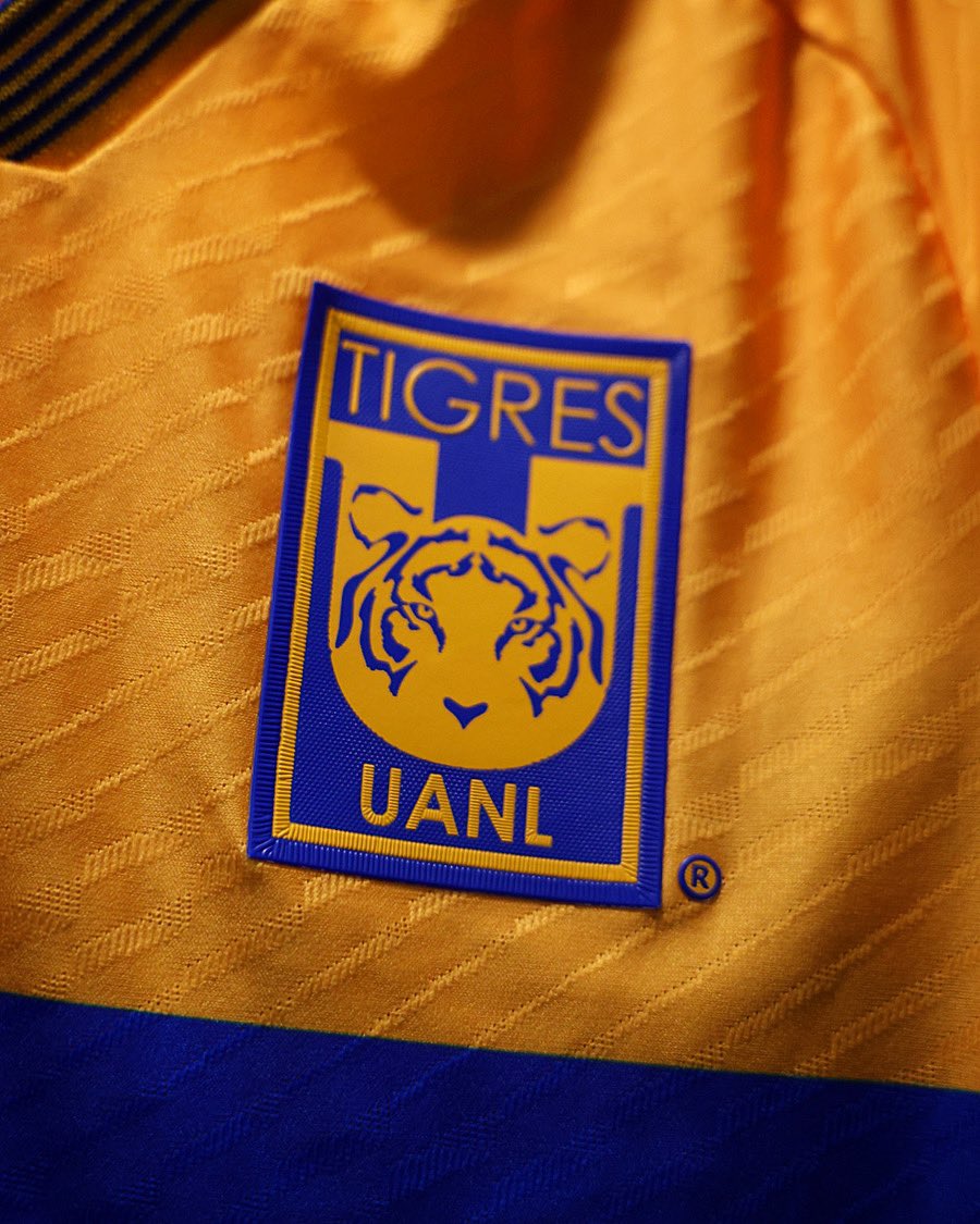 TigresOficial's tweet photo. 🔃 ¡RT si hoy gana el amarillo y azul!

Presentado por @ChilchotaMx https://t.co/MDf6vMwZZJ