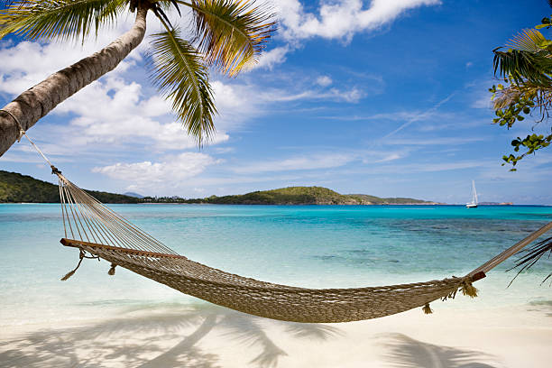 USVirginIslan's tweet photo. Chillin' like a #Caribbean villain 🌴🌊 Hammock between palm trees, where #paradise meets relaxation. Escape the hustle and bustle, and let the gentle sway of the hammock transport you to ultimate #vacation bliss. Time to unwind and soak up those #tropical vibes! 🌺🌞 https://t.co/JUP7Exgm38