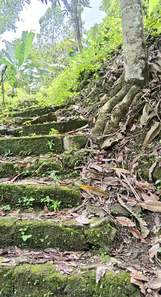 miyeik's tweet photo. Este lugar, este lugar sí que trasporta. No estamos solos. Y yo aquí trabajando para personas que ni conozco. Pero esta gratitud, esa pequeña gratitud me llena y me doy cuenta que estoy solo para dar, dar y dar. #AmorInfinito https://t.co/tnC1dlodPj
