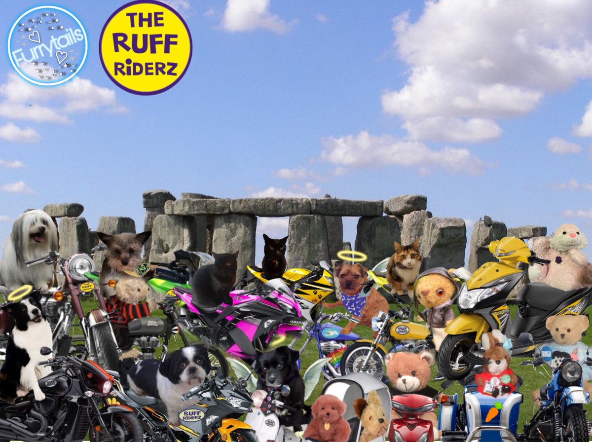 And now we go ofur to the UK and visit Stonehenge 🙂 with Team Furrytails #TheRuffRiderz