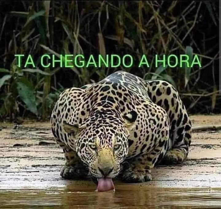 Ansiosa d+
#esquerdasegueesquerda