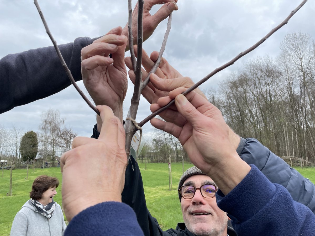 Als je tijdens een snoeiinstructie in #belfeld vraagt om de toekomstige gesteltakken aan te wijzen...