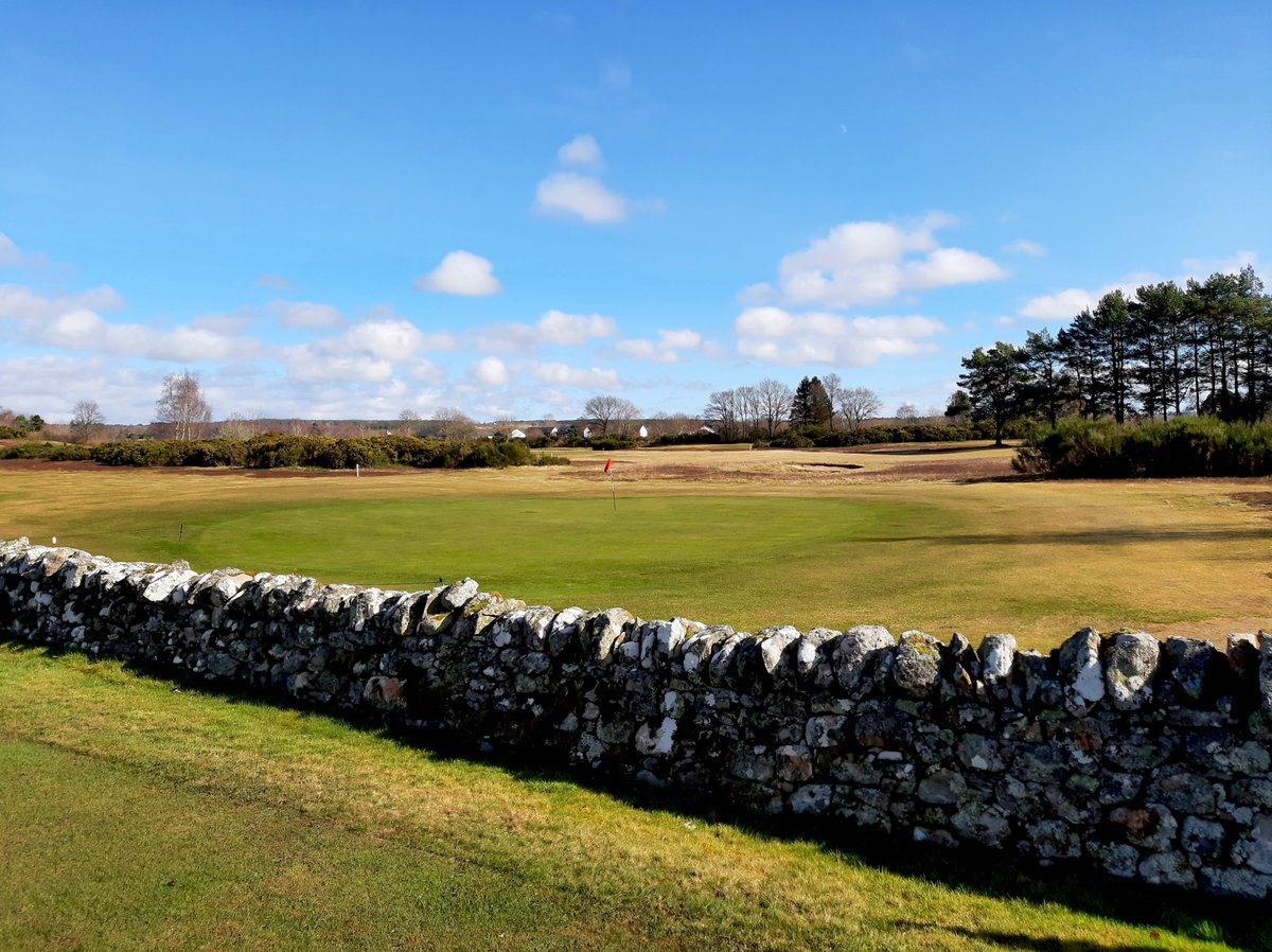 Jezz Ellwood tweet media