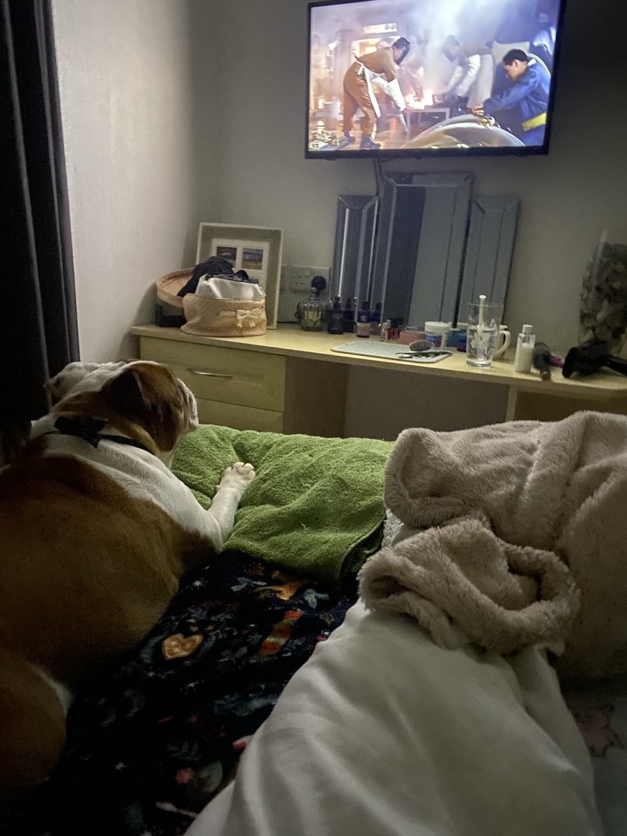 Dollysocietypup's tweet photo. I’m watching James Bond , goldfishfinger I like Mr Bond . Mummy loves Mr Daniel Craig #jamesbondcollection #itvx https://t.co/YiP2g8Lvau