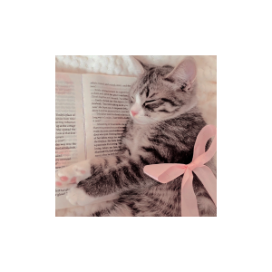 ՙ 𝐖𝐀 › 𝒄attuzzo .ᐟ tweet media
