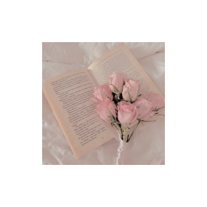 ՙ 𝐖𝐀 › 𝒄attuzzo .ᐟ tweet media