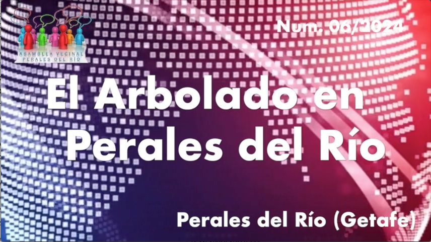 AVPerales's tweet photo. medianas estrechas con árboles de gran porte, alcorques que terminan adoquinados, etc...., todo esto disponiendo de un Plan de Arbolado desde febrero de 2022 que contradice dicha gestión. Lamentable! https://t.co/e30OGAyqHQ https://t.co/cLyjdQfkLM