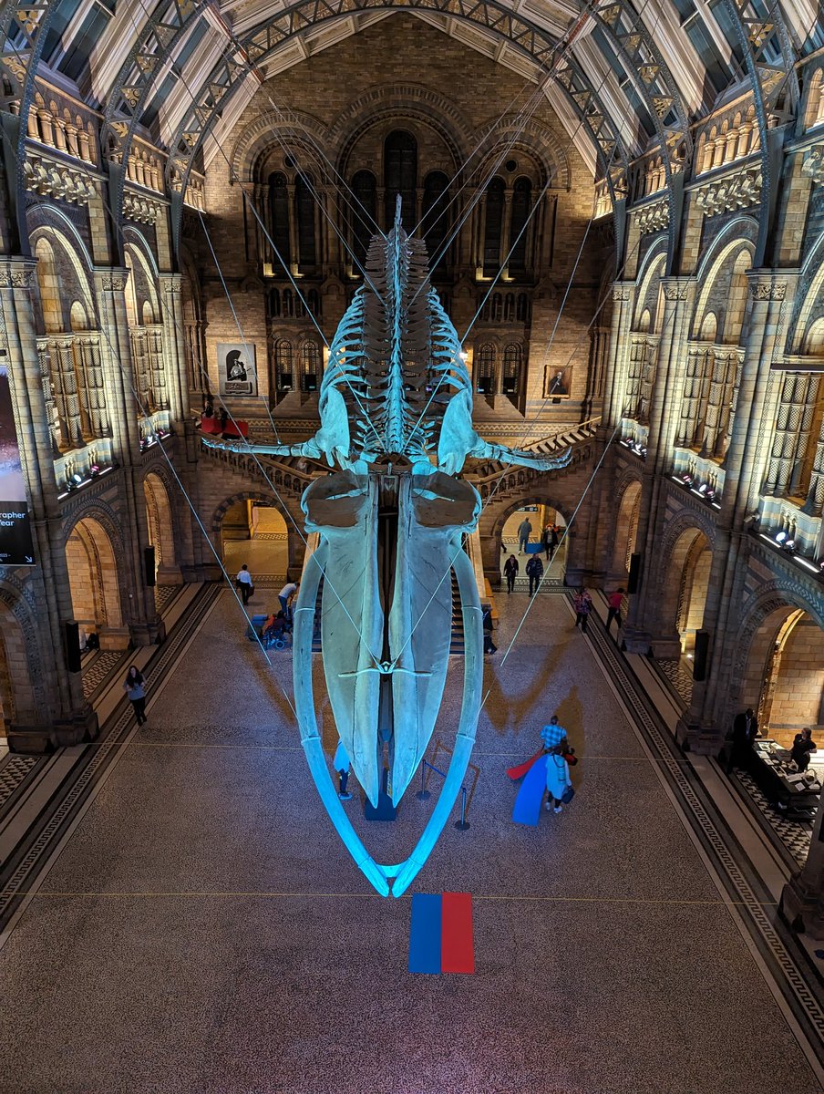DanJS9's tweet image. Sleep over at @NHM_London 

Dinner, pub quiz, comedian, monster movie until 7am!