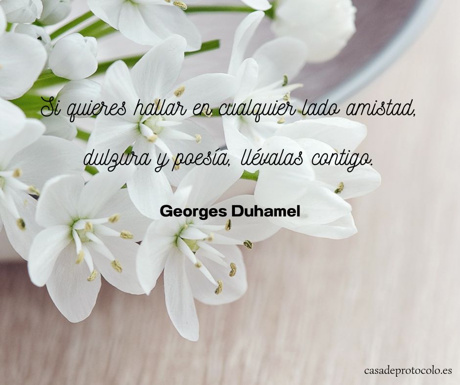CasadeProtocolo's tweet photo. "Si quieres hallar en cualquier lado amistad, dulzura y poesía, llévalas contigo"
Georges Duhamel
https://t.co/vM2fIi0zwj
#elegancia #dulzura #protocolo https://t.co/MsJjcZSN8Q