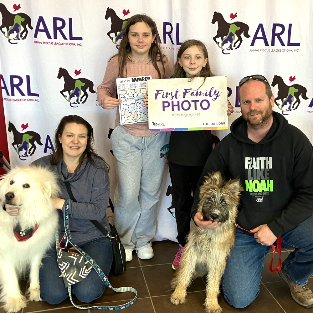 THIS WEEKEND: Just 2 days left of lucky $77 adoptions for all dogs 6 months and older! Head out to ARL Main or ARL Animal Services today or Sunday to meet some great dogs and find a furry match for your family! See all available pets + hours/locations at ARL-Iowa.org!
