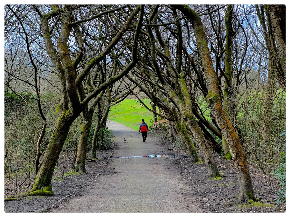 pitheadbaths's tweet photo. Heaton Park Manchester has two car parks, also entry is next to the tram stop, spectacular grounds. 18th C hall sadly only open 12pm to 4pm, second Sunday of the month from April to September! 😱 Cafes, restored tram, boating lake, animals #HeatonHall @ManCityCouncil #HeatonPark https://t.co/U8IHAZY7y2