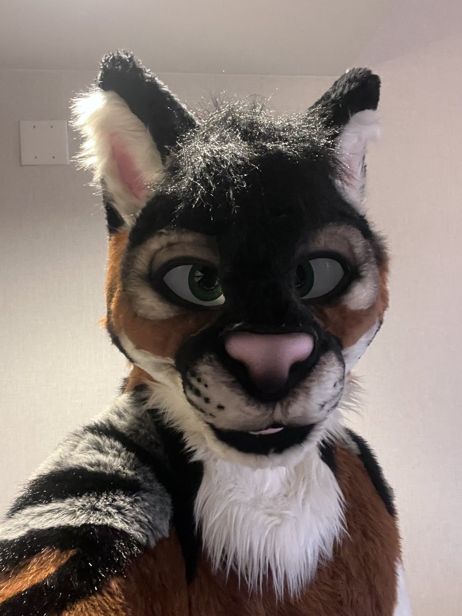 AlPhoxTiger 🔜TFF tweet media